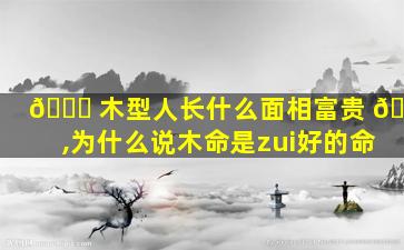 🍀 木型人长什么面相富贵 🦋 ,为什么说木命是zui
好的命
